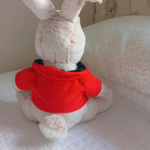 Peter Rabbit Plushie - Picture 6 of 10